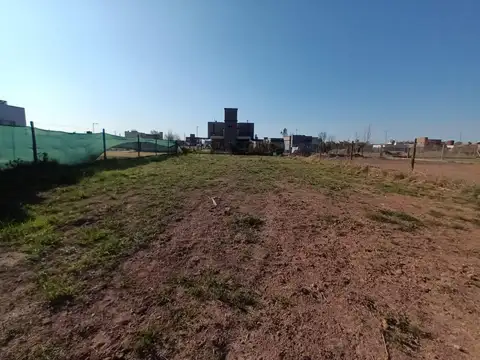 Martha Garrone y Suipacha