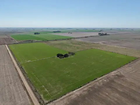 Campo 40 hectareas en Máximo Paz