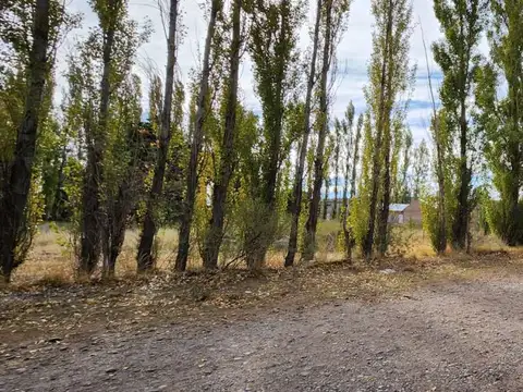 Llequén, Manzana C, Lote 100