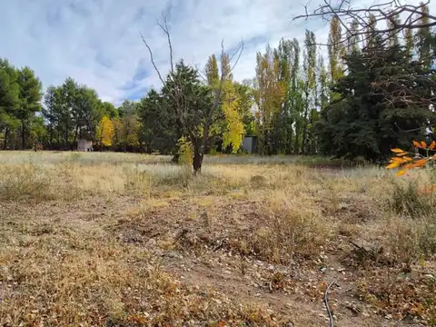 Terreno en Venta de 797,0 m2