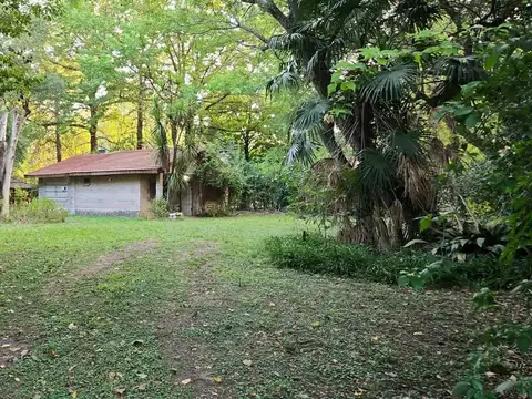 Samaniego 5100
