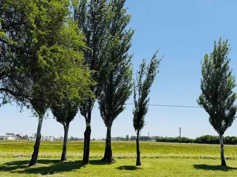 VENTA LOTES EN ZÁRATE