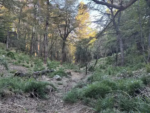 ruta 62 , Piso 0