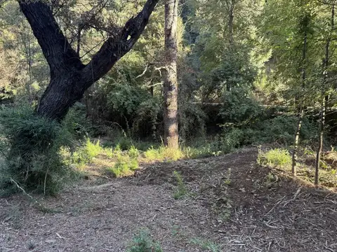 VENTA TERRENO SAN MARTIN DE LOS ANDES.  CAMINO AL LAGO LOLOG . APTO COMERCIAL