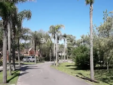 Terreno en Venta 40  mts Fondo