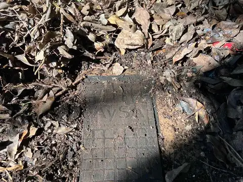 José Thames 400