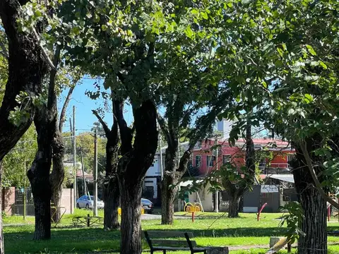 Terreno en Venta en Ingeniero Adolfo Sourdeaux, USD 70.000