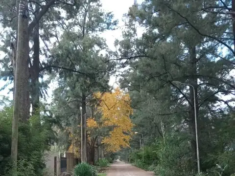 Casa en Venta 14 años