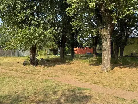 Terreno en Venta de 290,0 m2