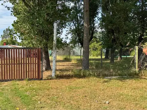 El Ceibo, La Carolina