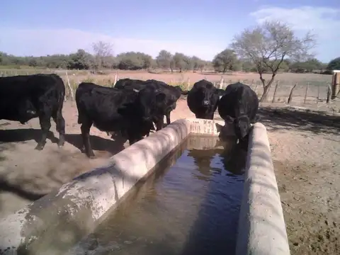 Campo 180 Ha Ganadero En Venta Villa De Soto
