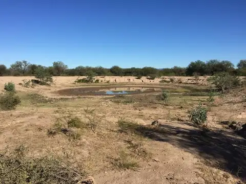 Campo 180 ha Ganadero en Venta Villa de Soto