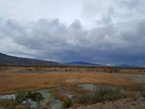 Campo - Precordillera de Santa Cruz