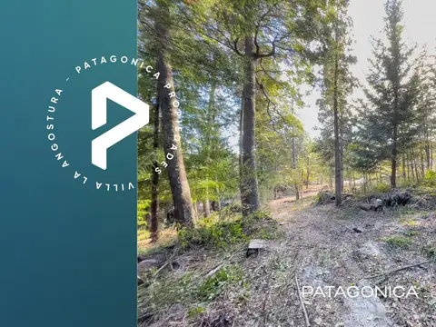 VENTA Lote 1218m2 UF 6, proyecto aprobado. Altos de Manzano