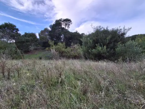 Terreno en Venta 45  mts Fondo