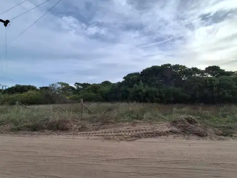 Terreno