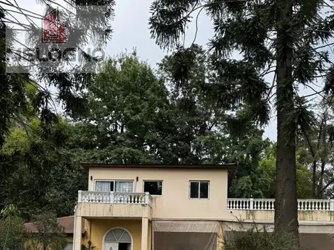 El jilguero  al 2200