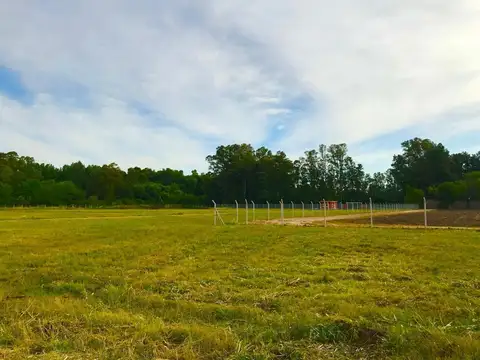 NC IV Seccion U Sector C 1166  lote 7 Unidad Funcional 5