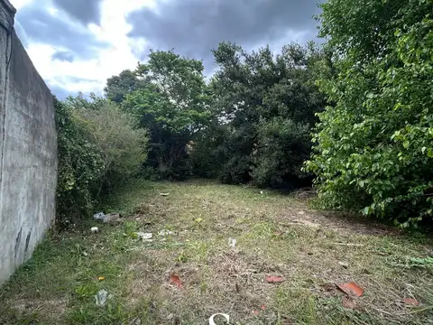 IMPORTANTE LOTE COMERCIAL AVENIDA BELGRANO, LOS CARDALES