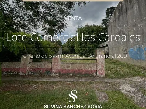 IMPORTANTE LOTE COMERCIAL AVENIDA BELGRANO, LOS CARDALES