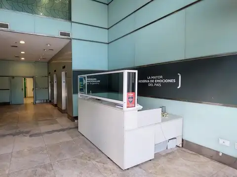 Carlos Pellegrini al 600