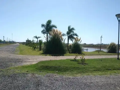 Campos de La Enriqueta