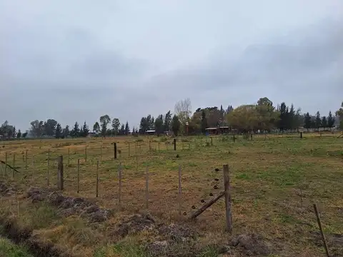 Parque Las Acacias