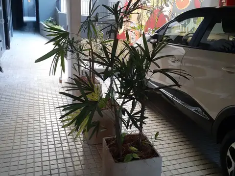 CASTELLANOS 400, Piso 2