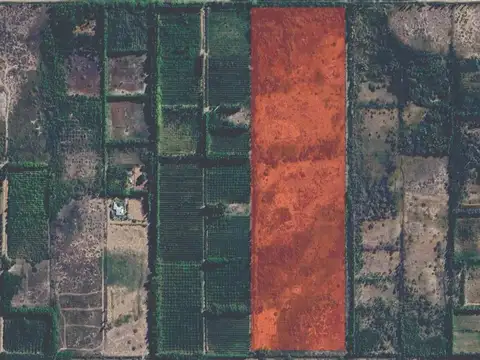 14,5 HECTAREAS CHACRA SARGENTO VIDAL