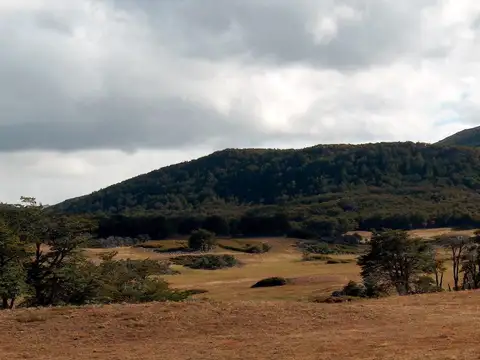 Establecimiento Agropecuario en Cordillera Santa Cruz