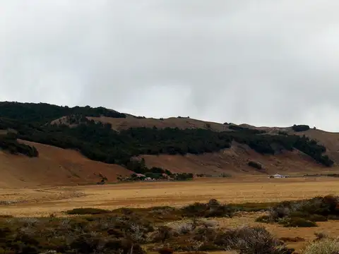 Establecimiento Agropecuario en Cordillera Santa Cruz