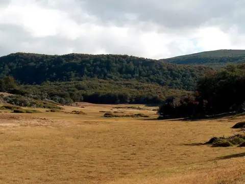 Establecimiento Agropecuario en Cordillera Santa Cruz