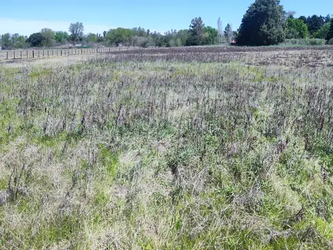 Lote Unico de 1 Ha en Carlos Keen Lujan