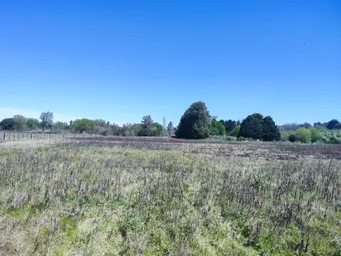Campo en Venta de 1  ha