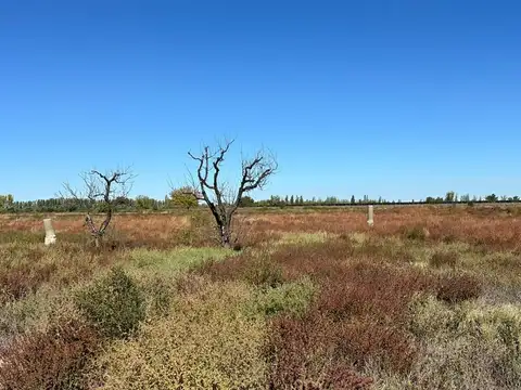 FINCA EN VENTA EN SAN MARTIN DE 37 HECTAREAS