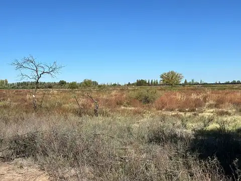 FINCA EN VENTA EN SAN MARTIN DE 37 HECTAREAS