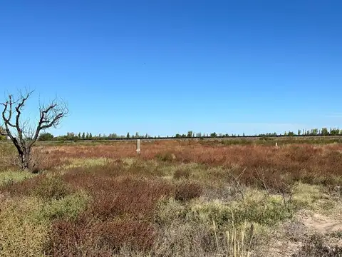 FINCA EN VENTA EN SAN MARTIN DE 37 HECTAREAS