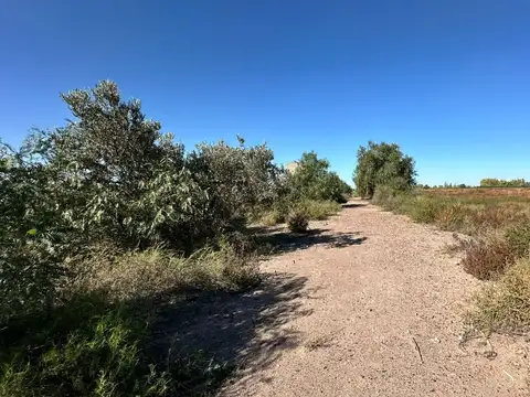 FINCA EN VENTA EN SAN MARTIN DE 37 HECTAREAS