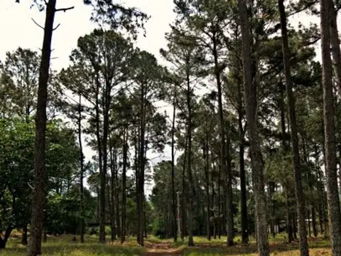 Terreno en Venta en Santa Monica, USD 25.000