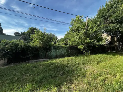 José Ingenieros al 700