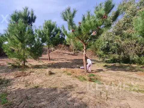 Terreno en venta en Punta Médanos