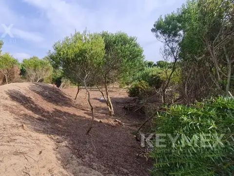 Terreno en Venta de 1000,0 m2