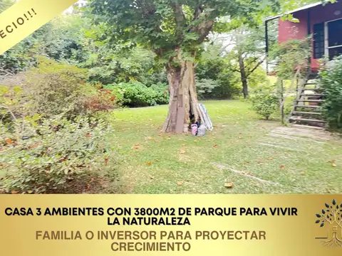CASA 3 AMBIENTES ELEVADA TERRENO 3800M2 BALCÓN ISLAS DE TIGRE