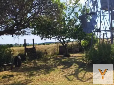 Campo en venta - 63.135Mts2 - General Pueyrredón