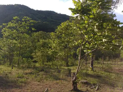 Terreno en Venta de 1700,0 m2