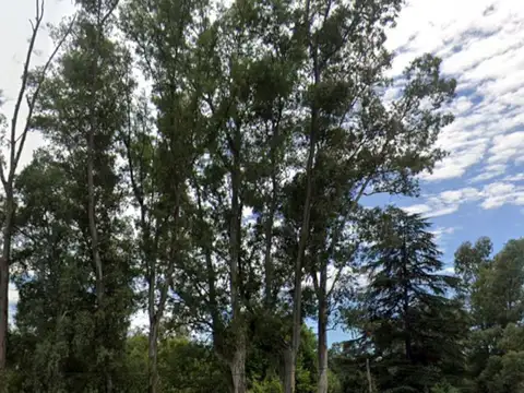 Terreno en Venta de 3187,0 m2