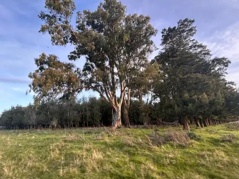 Campo en Ayacucho