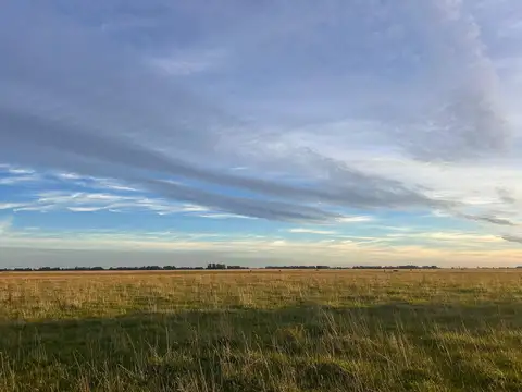 Campo en Ayacucho