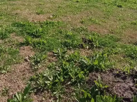 Terreno en Venta de 600,0 m2