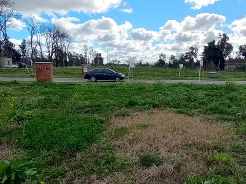 LOTE INTERNO EN LA ESTELA